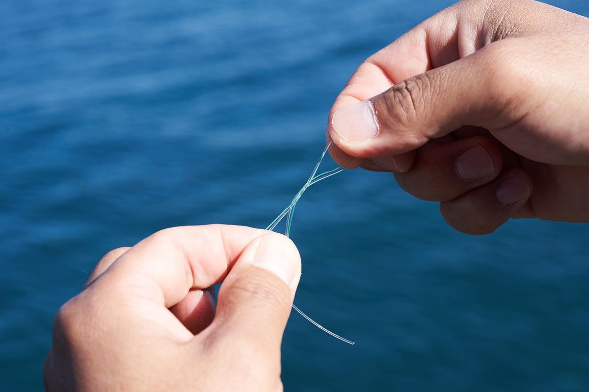 bas de ligne pêche en mer swimbait