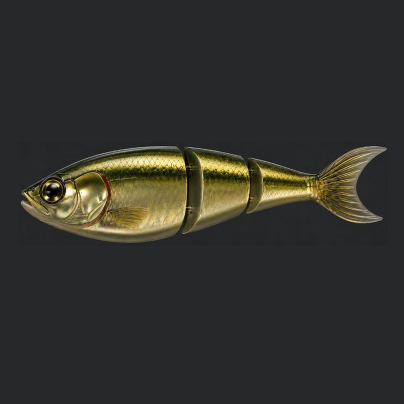 Quels coloris de swimbait choisir pour le barracuda ?
